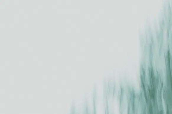 Cazino Wild Tornado Cazinou Suport